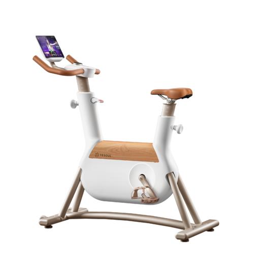 YESOUL野小兽自发电动感单车家用自行车专业减肥运动器材女生R6 商品图4