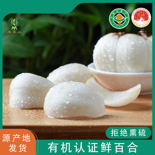 有机兰州鲜百合    新鲜特级食用甜百合 商品图3