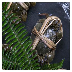 洪泽湖大闸蟹 (母蟹 约105-120g)/1只