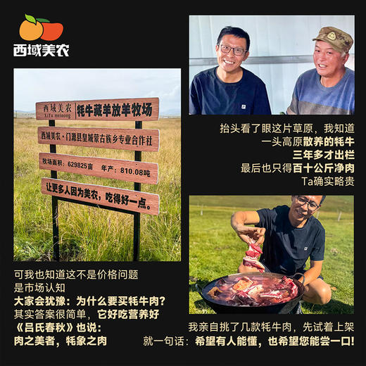 西域美农 人类牦条  牦牛肉干 手撕牦牛肉干 原味/麻辣 解馋即食零食 顺丰发货 商品图1