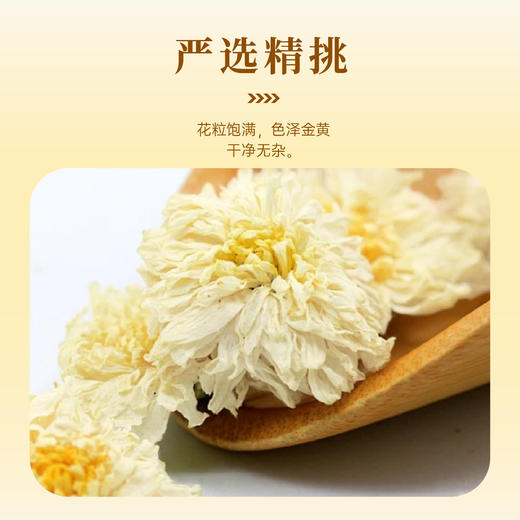 东篱下杭白菊30g 商品图1