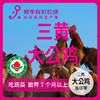 有机大公鸡三黄 净重3斤左右 吃蔬菜/吃粮食/散养/当日屠宰/空运 商品缩略图0