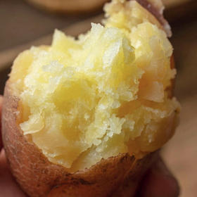 有机红皮土豆 净重5斤装（9-12颗）/箱  A-5600