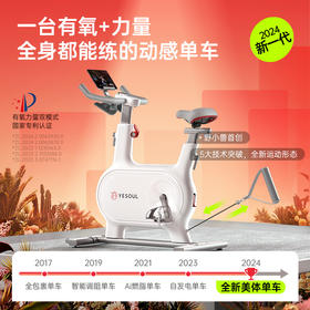 YESOUL野小兽美体动感单车减肥健身器材M2T