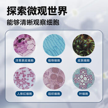 Toylezhi 显微镜儿童中小学生教学同款科学实验男孩生日礼物新年礼物 商品图3