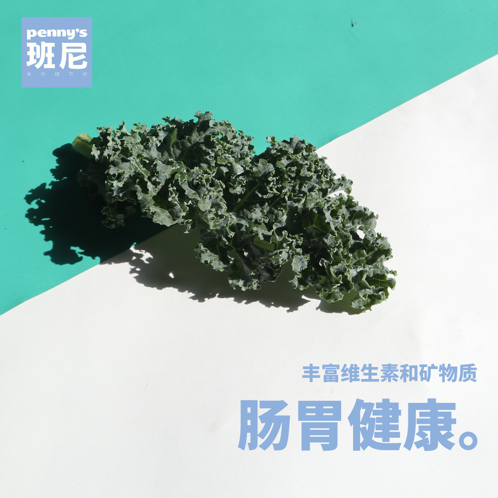 羽衣甘蓝冻干粉