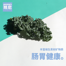 羽衣甘蓝冻干粉