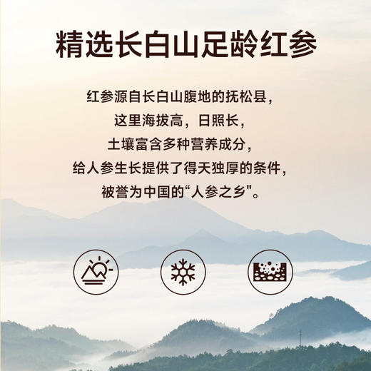 云耕物作 雪梨红参膏 260g/瓶 商品图1