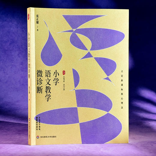 小学语文教学微诊断 大夏书系 语文之道 张正耀 立足新课标核心理念 商品图3