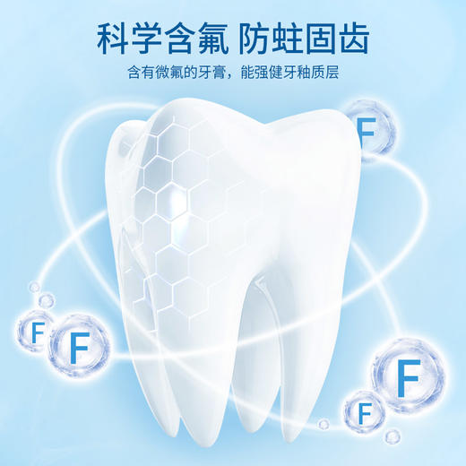 青蛙成人套装系列B 670牙刷*2+青蛙清新净齿牙膏GH962*1 商品图2
