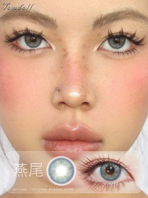 tomdoll半年抛 燕尾 蓝/夜莺/涩谷辣妹 棕灰红 14.2mm 商品图5