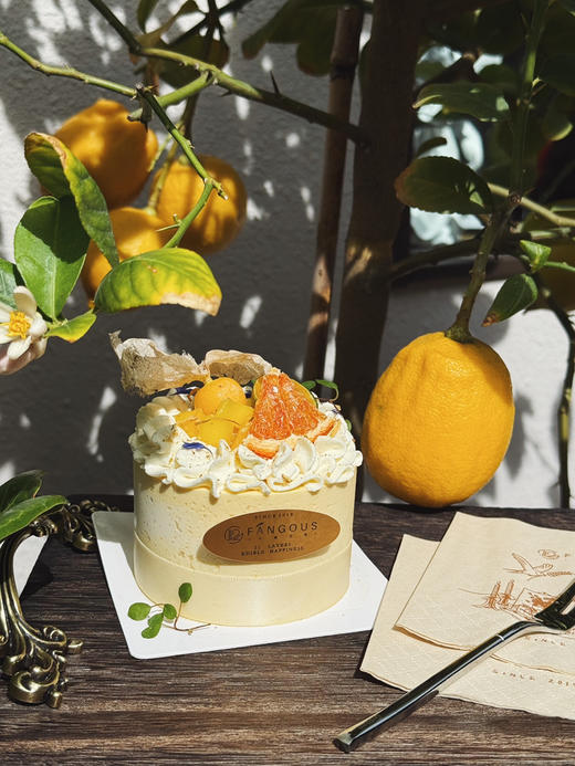 柚见芒夏（可打包） 商品图4