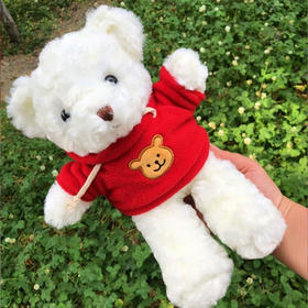 艾达的世界牛奶巧克力毛绒小熊60g