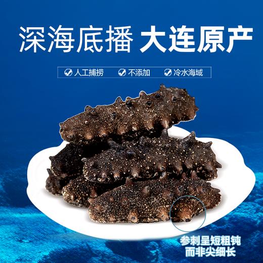 [獐子岛] 干海参 天择 (100g/盒) 商品图4