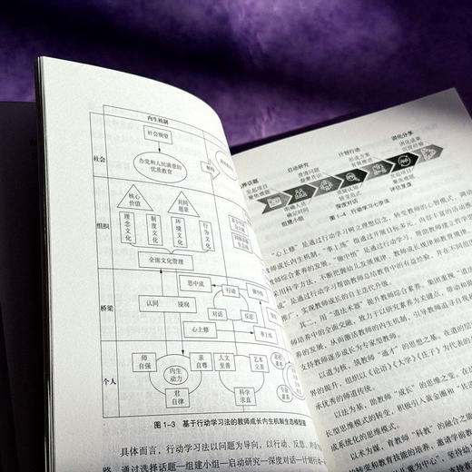 园本教师专业发展 5所幼儿园的实践与研究 大夏书系 幼儿教育 商品图9