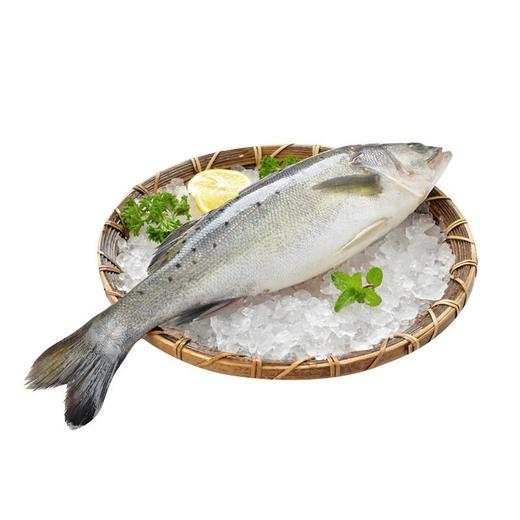 海鲈鱼  约500-600g/条 商品图2