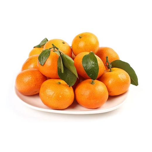 砂糖橘 商品图0