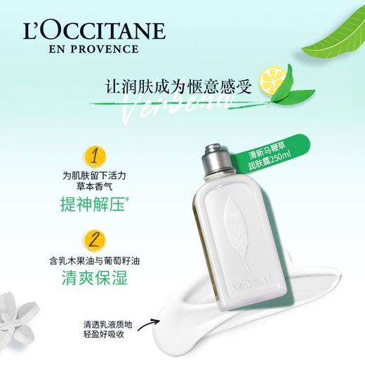 【上新特惠】L'occitane/欧舒丹  马鞭草身体乳250ml+马鞭草沐浴露200ml 商品图7