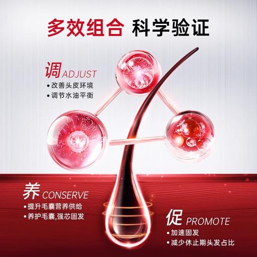 【99元会员福利】卡蓓诺 丰盈润养防脱洗发水350ml（油性脱发） 商品图3