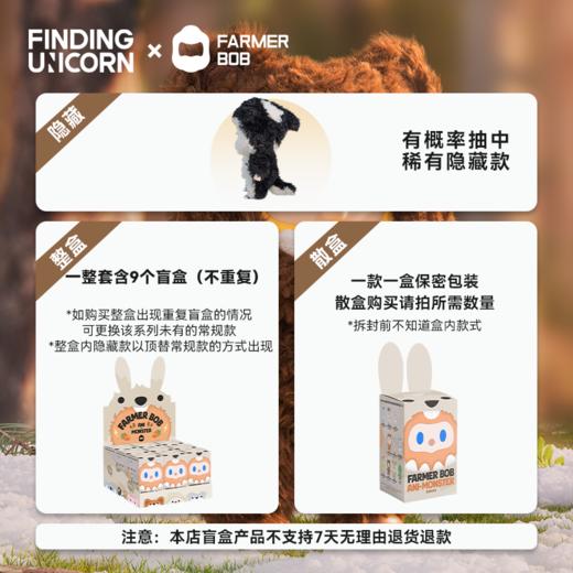 FARMER BOB 寻找独角兽 怪奇守护者搪胶毛绒盲盒 女生礼物 商品图4