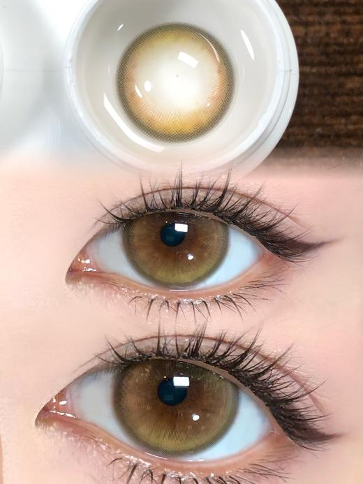 loveiikira半年抛  月桂树下 14.5mm 棕 0-1000 商品图0