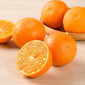 红美人橙6粒 800g/盒