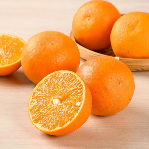 红美人橙6粒 800g/盒 商品图0