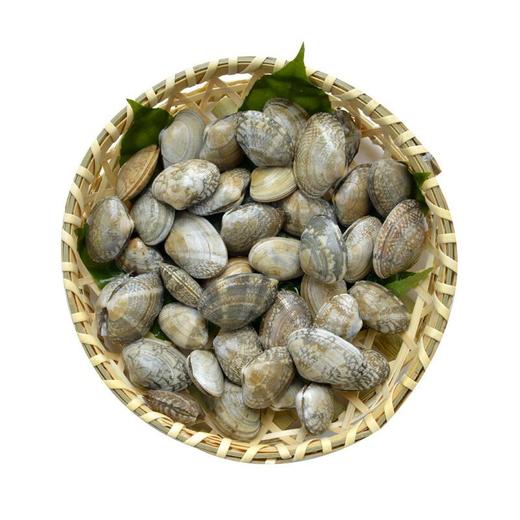 花甲中号 约500g/份 商品图1