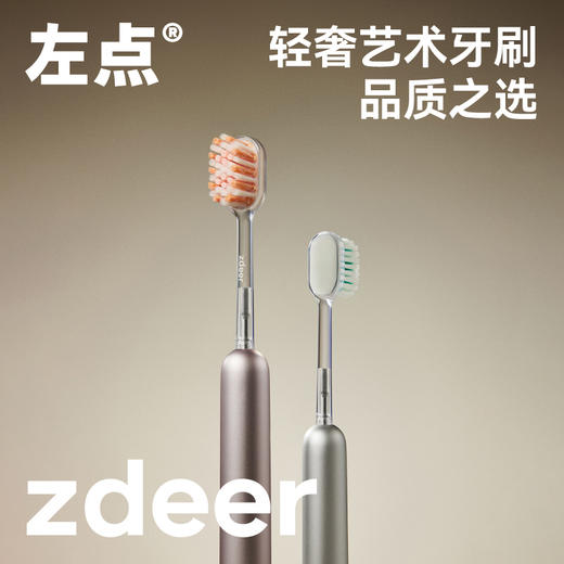 左点牙刷ZD-D201-哑面款 商品图0