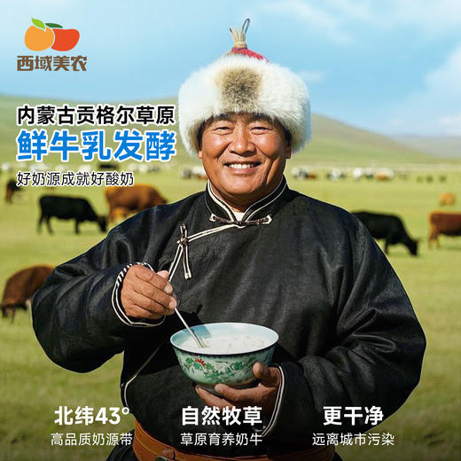 【FX】内蒙古欧若姆酸奶奶皮子酸奶活菌酸奶 商品图2