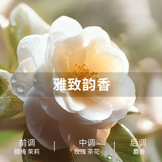 美穗吉家 山茶植萃全效洁白香氛洗衣液2kg 商品图3