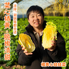 密农人家 橘黄心娃娃菜  农家青菜 新鲜蔬菜 菜心橘黄 脆嫩清甜
