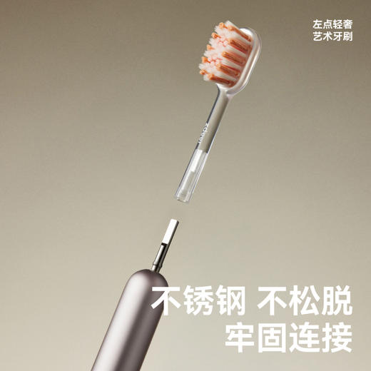 左点牙刷ZD-D201-哑面款 商品图4