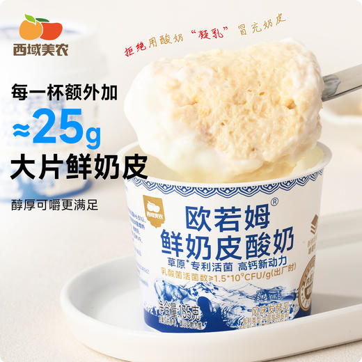 【FX】内蒙古欧若姆酸奶奶皮子酸奶活菌酸奶 商品图4