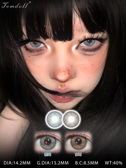 tomdoll半年抛 燕尾 蓝/夜莺/涩谷辣妹 棕灰红 14.2mm 商品图12