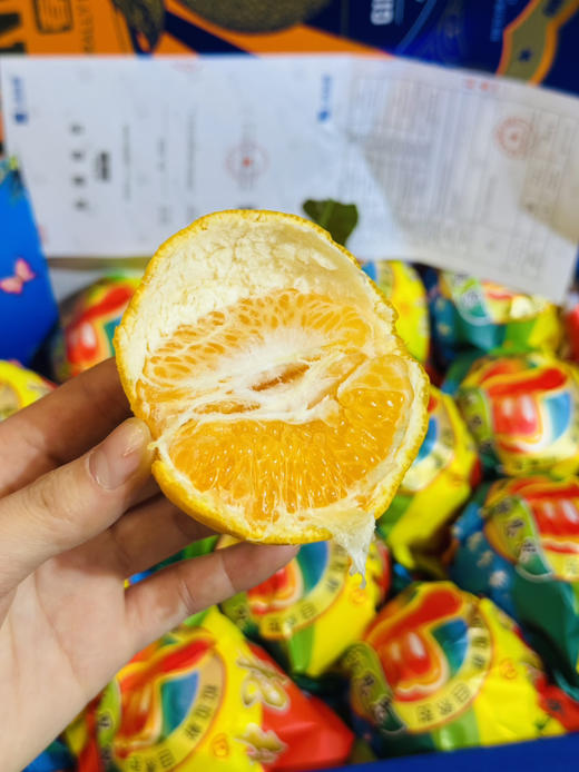 甜思思春见耙耙柑礼盒装（毛重7斤左右） 商品图0