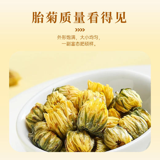 东篱下小胎菊70g 商品图1