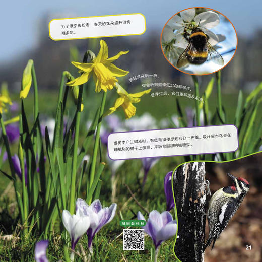 《绿色星球》（全5册） 商品图8