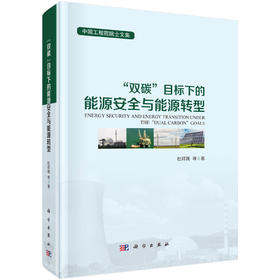 “双碳”目标下的能源安全与能源转型