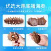 [獐子岛] 参冬冬 即食海参( 500g/盒、1200g/盒) 商品缩略图2