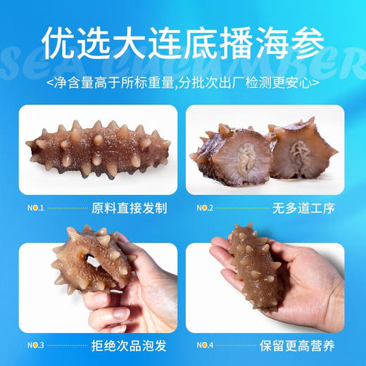 [獐子岛] 参冬冬 即食海参( 500g/盒、1200g/盒) 商品图2