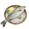海鲈鱼  约500-600g/条 商品缩略图3