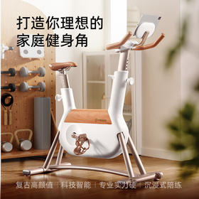 YESOUL野小兽自发电动感单车家用自行车专业减肥运动器材女生R6