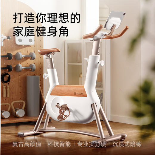 YESOUL野小兽自发电动感单车家用自行车专业减肥运动器材女生R6 商品图0