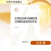 21世纪以来中国城市化空间格局演变特征研究 商品缩略图0