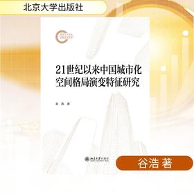 21世纪以来中国城市化空间格局演变特征研究