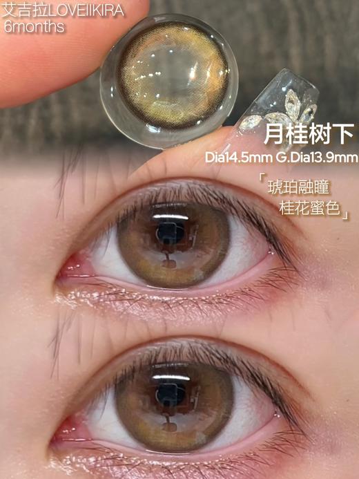 loveiikira半年抛  月桂树下 14.5mm 棕 0-1000 商品图3