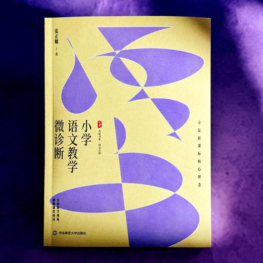 小学语文教学微诊断 大夏书系 语文之道 张正耀 立足新课标核心理念 商品图1