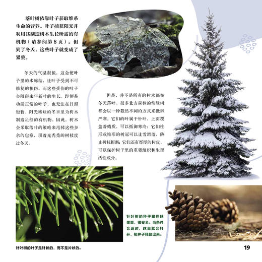 《绿色星球》（全5册） 商品图10