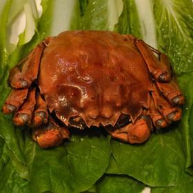 熟醉大闸蟹